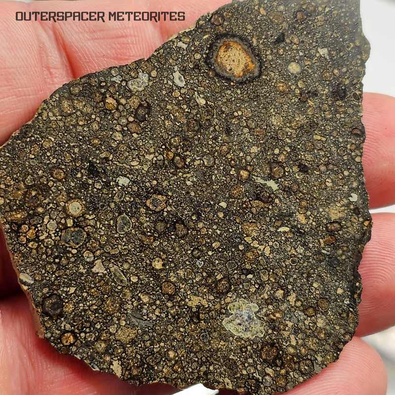 CV Carbonaceous Chondrites