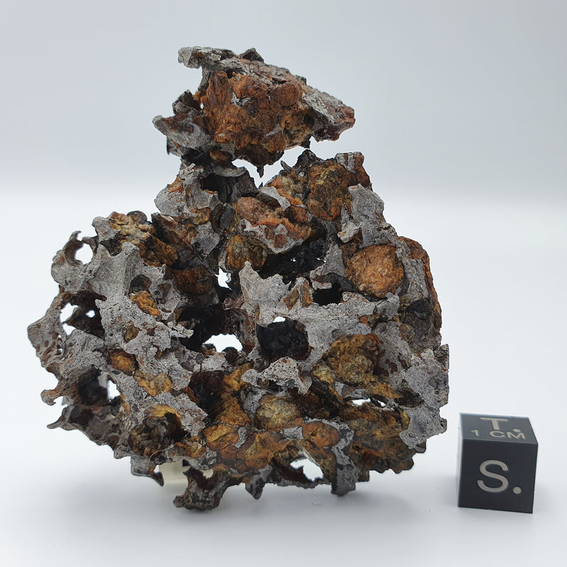 Pallasites