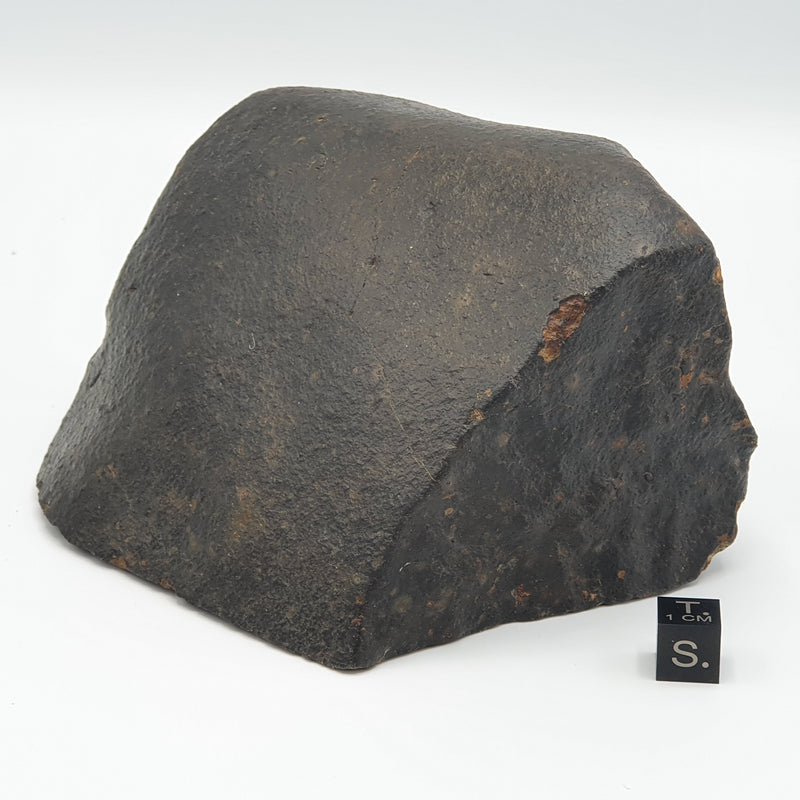 Chondrites
