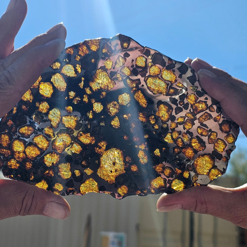 Stony-Iron Meteorites