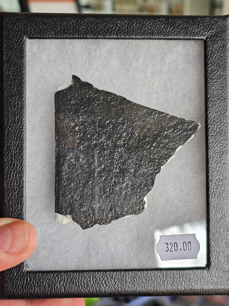 Space Collectibles & Ephemera