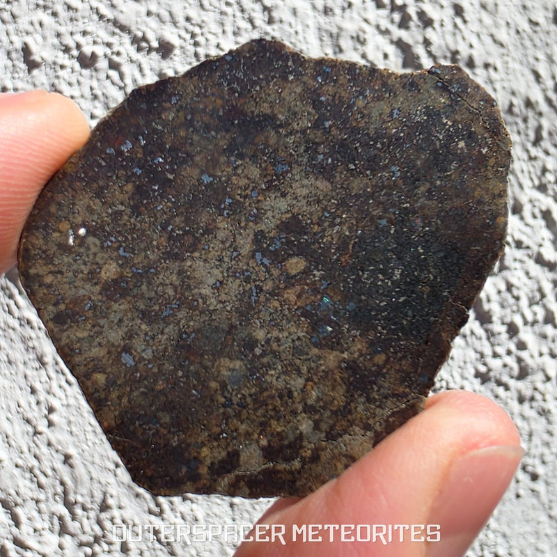 Gold Basin - L4 Ordinary Chondrite