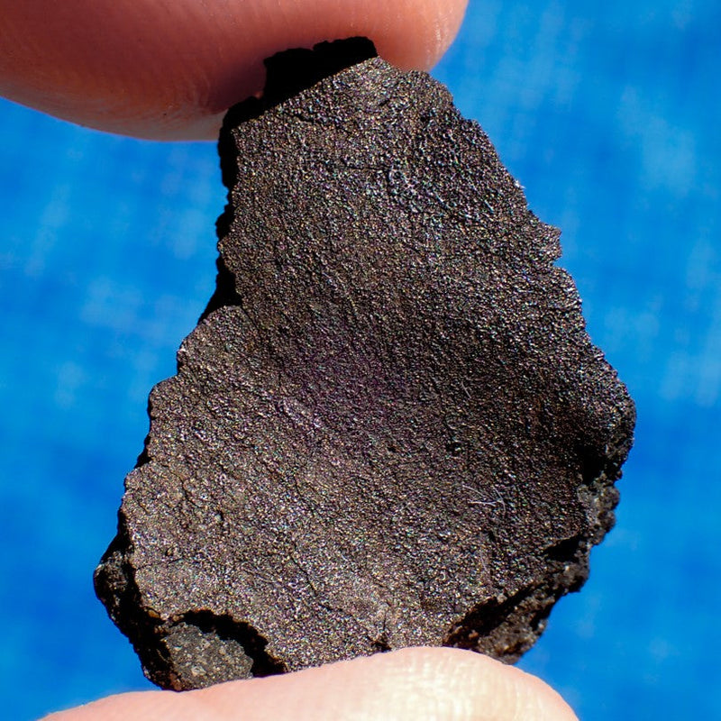 Aguas Zarcas - CM2 Carbonaceous Chondrite