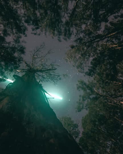 Witnessed Meteorite Falls