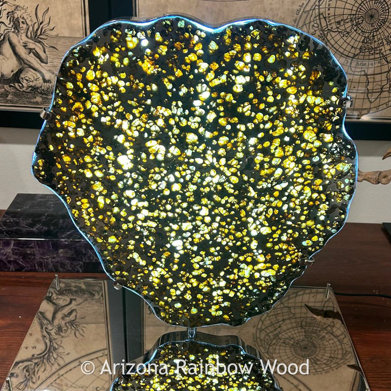 Brenham - Pallasite PMG-an