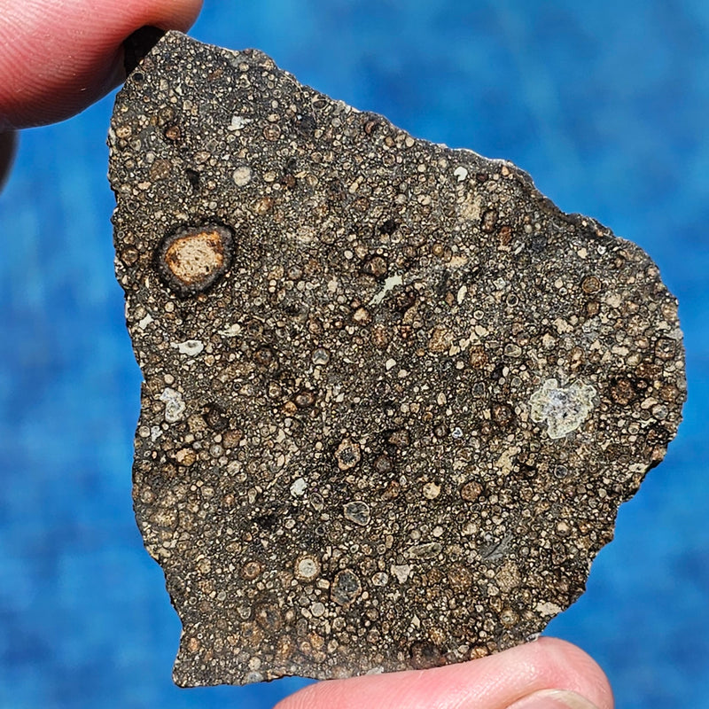Carbonaceous Chondrites