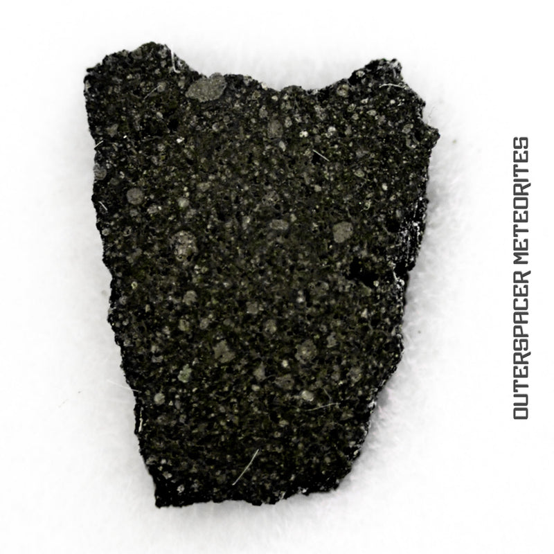 NWA 13456 - C2 Carbonaceous Chondrite
