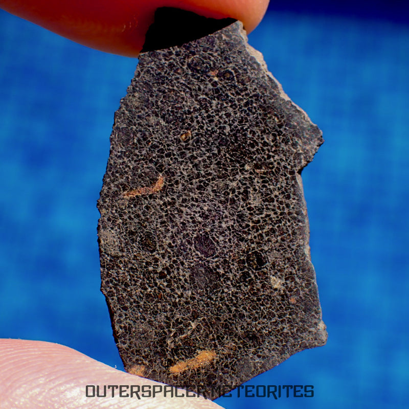 NWA 13777 - CK6-an Carbonaceous Chondrite