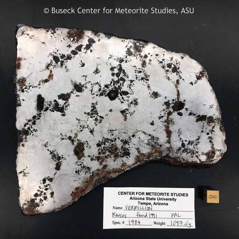 Pallasites - PPX (Pyroxene Pallasite grouplet)