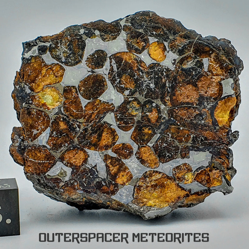 Sericho - Pallasite PMG