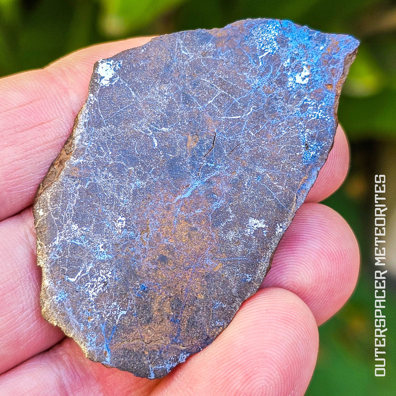 Errachidia 004 - Winonaite-an (Primitive Achondrite)