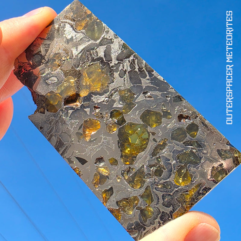 Seymchan - Pallasite PMG