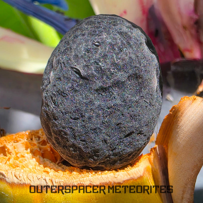 Saffordite - Obsidian