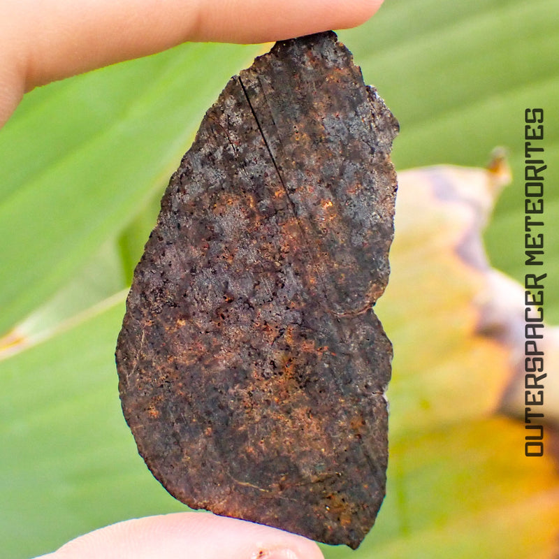 NWA 13948 - Acapulcoite (Primitive Achondrite)
