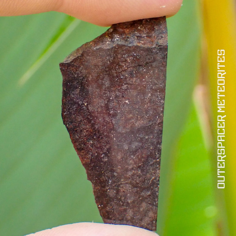 Wagon Mound  - L6 Ordinary Chondrite