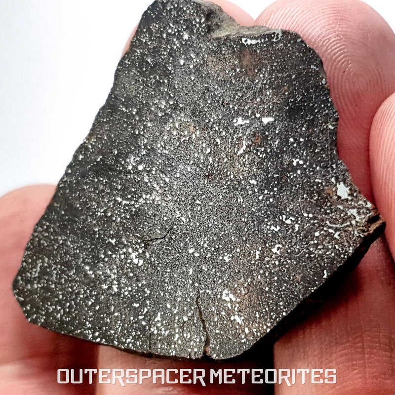 NWA 13790 - Winonaite (Primitive Achondrite)