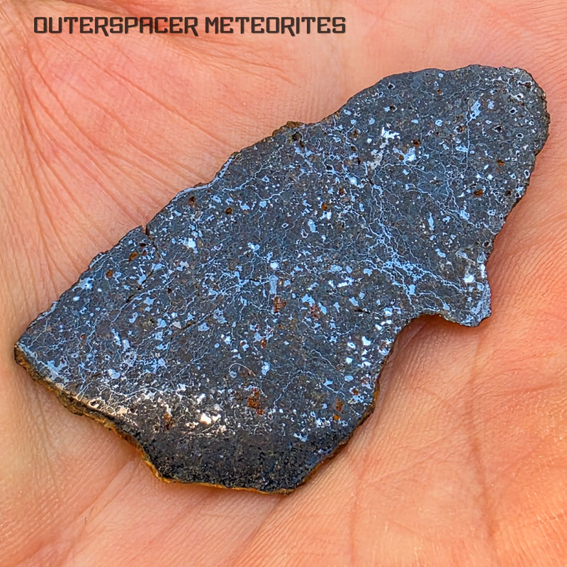 Lodranites  (Primitive Achondrite)