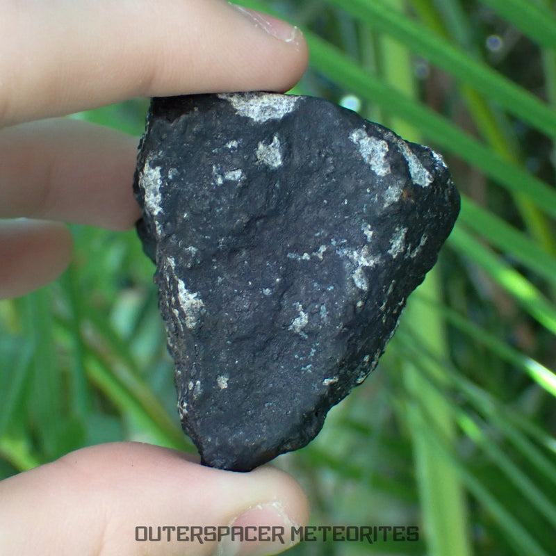 El Menia 001 - L5 Ordinary Chondrite