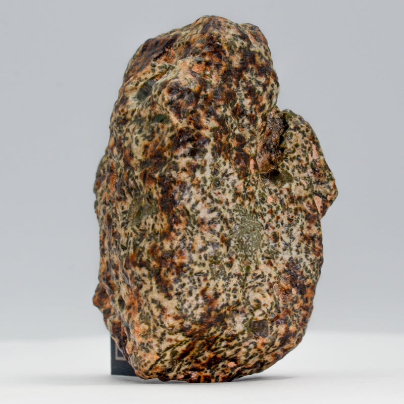 Erg Chech 002 - Ungrouped Achondrite