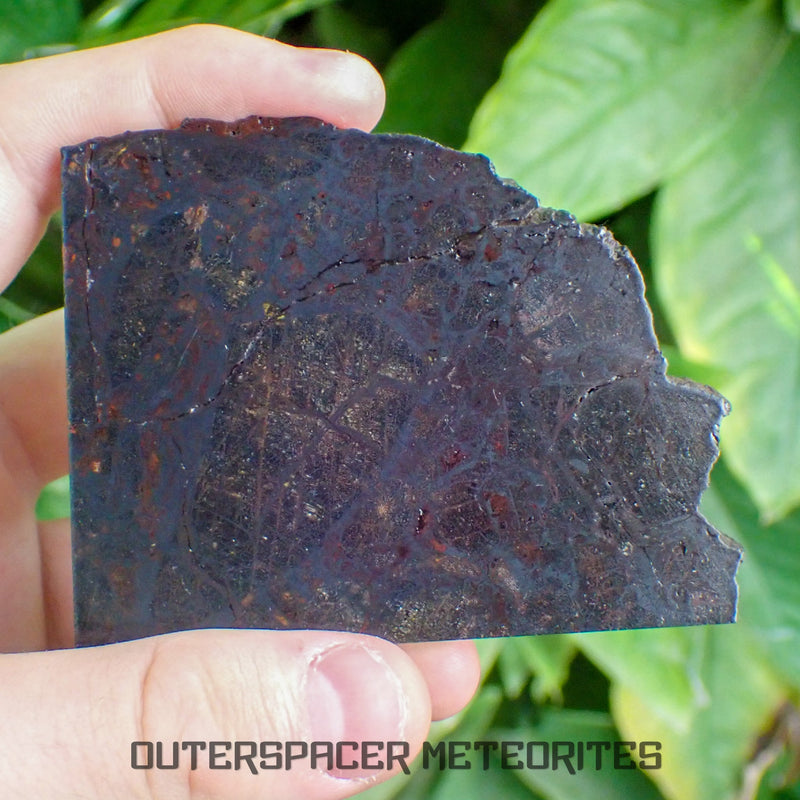 Huckitta - Pallasite, PMG-an