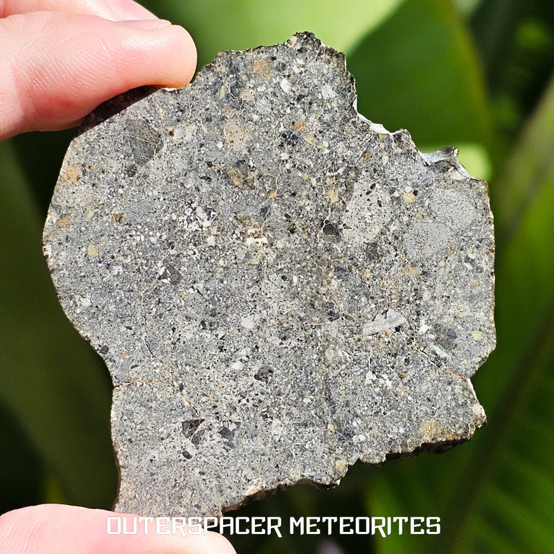 Eucrite - HED Achondrite