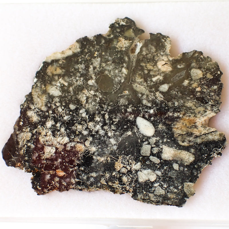 NWA 15583 - Lunar Feldspathic Breccia