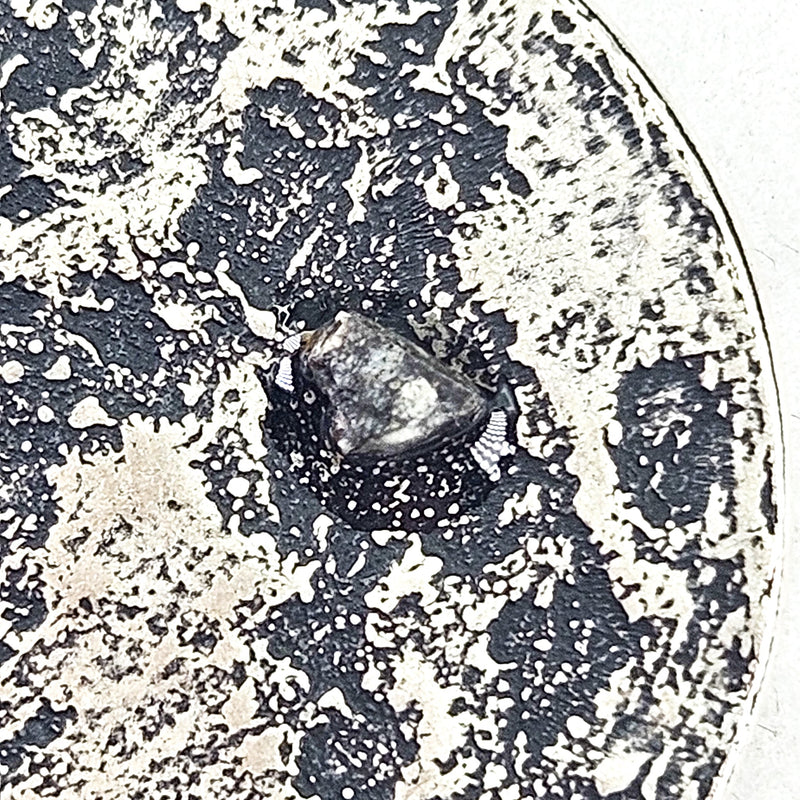 NWA 11303 - Lunar Feldspathic Breccia - Total Solar Eclipse Silver Pendant