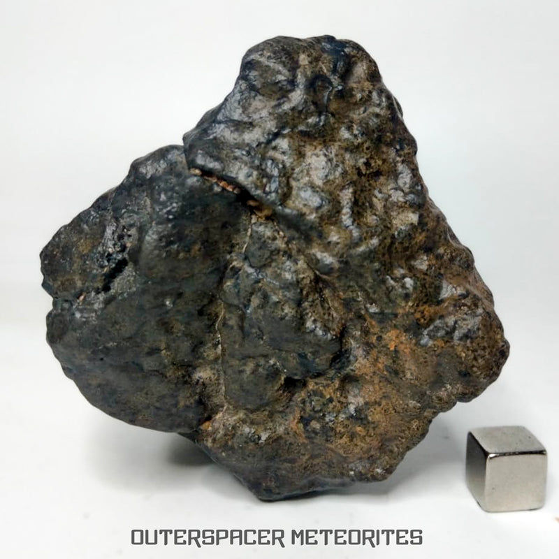 Martian Meteorites