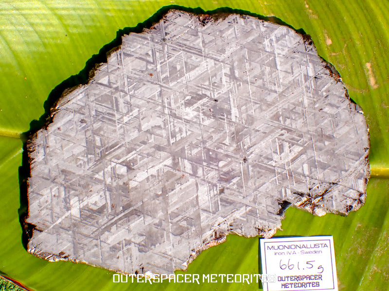 Iron Meteorites