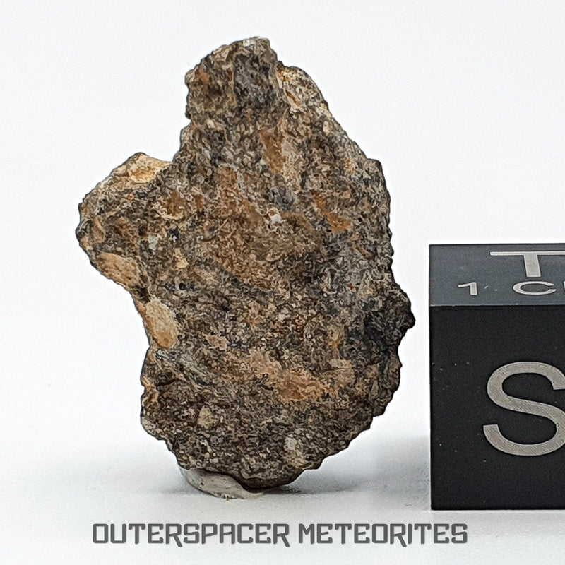NWA 11273 - Lunar Feldspathic Breccia