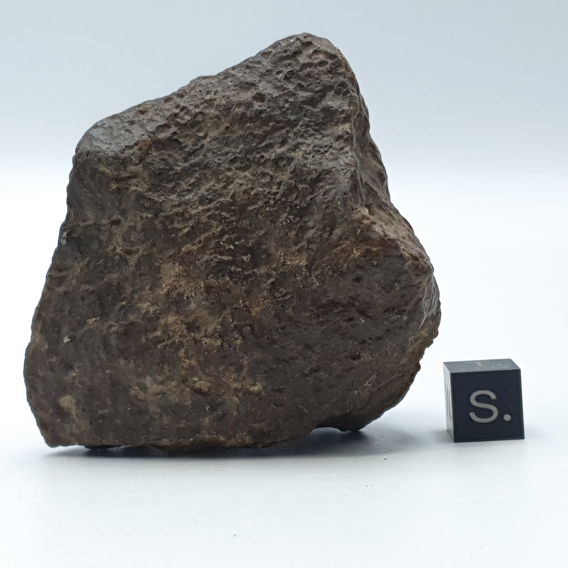 Unclassified NWA Ordinary Chondrites