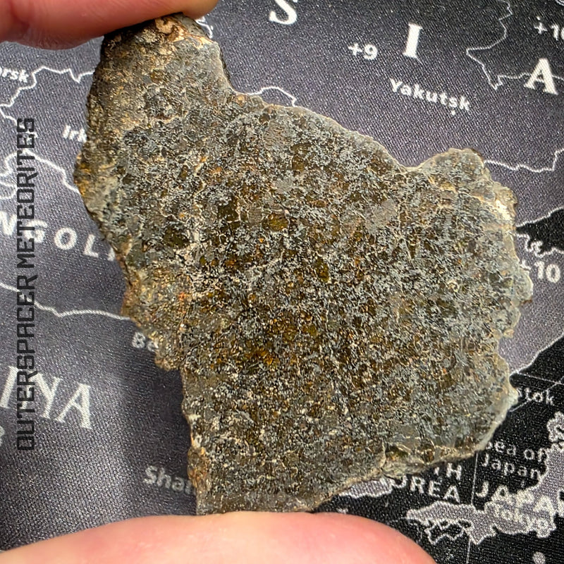 Ureilites (Primitive Achondrite)