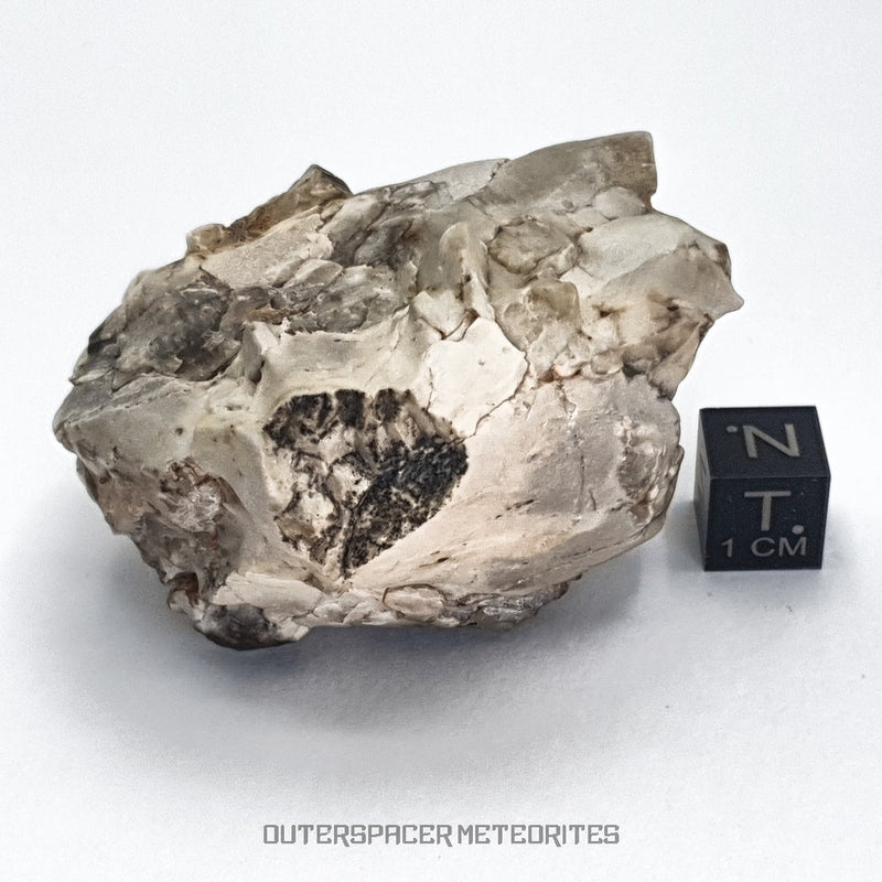 Sebkha el Melah 001 - Enstatite Achondrite (Aubrite - Unbrecciated)