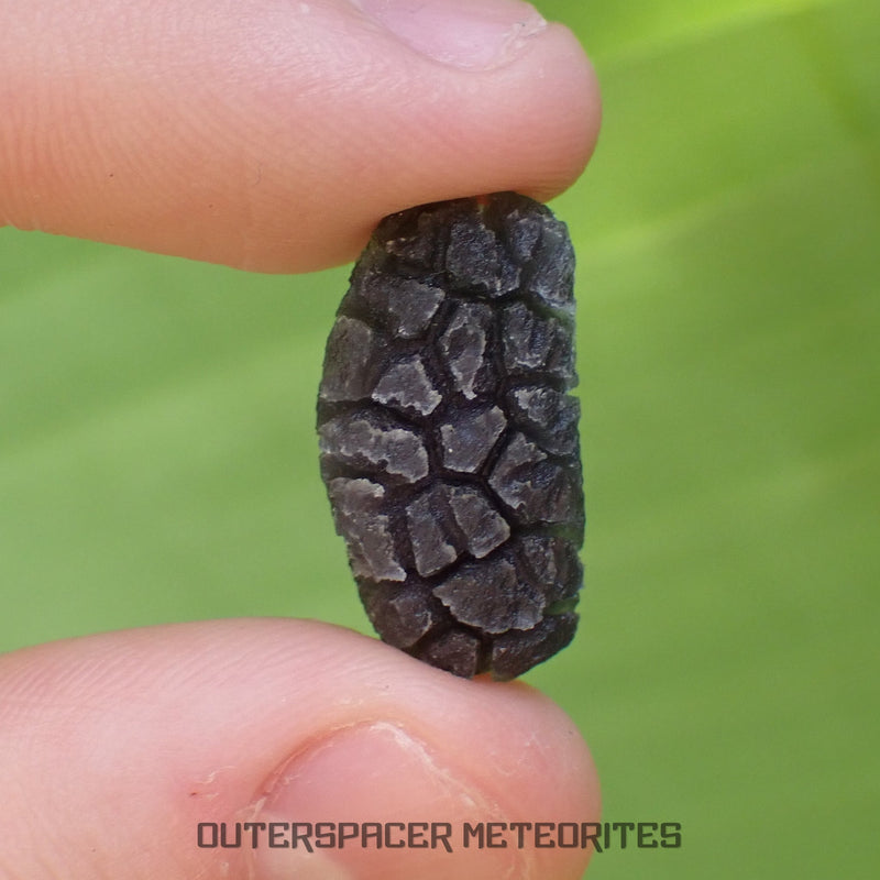 Carpathian (Slovak) Obsidian 'Hedgehog'