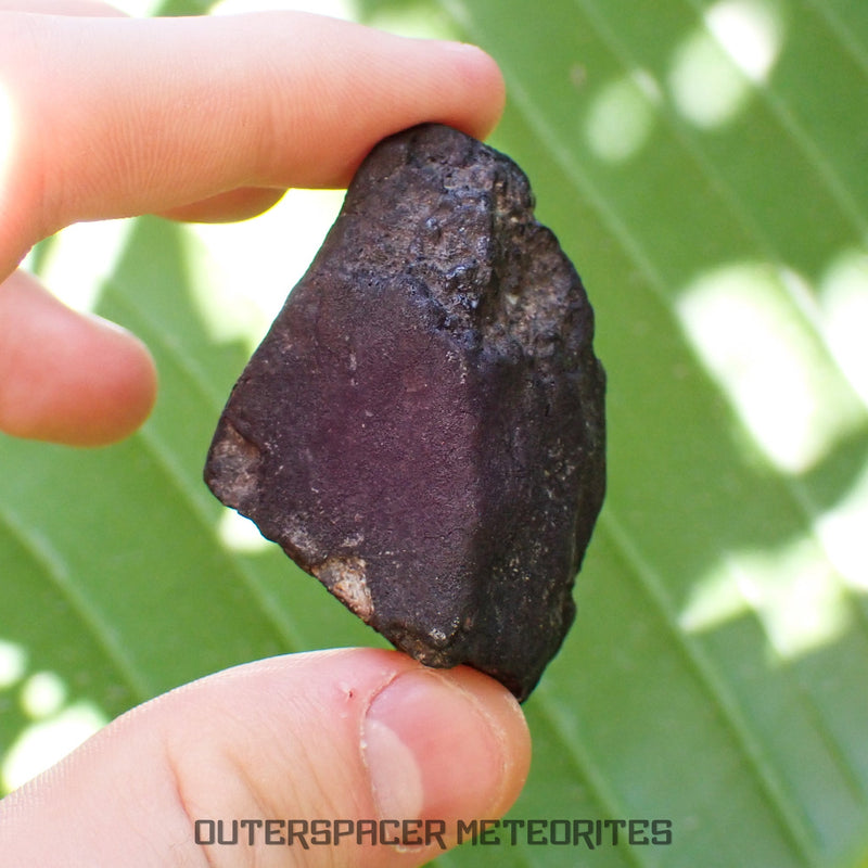 Viñales (Vinales) - L6 Ordinary Chondrite
