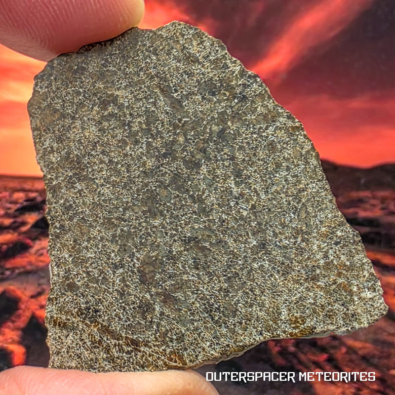 NWA 13187 - Martian Shergottite (Diabasic)