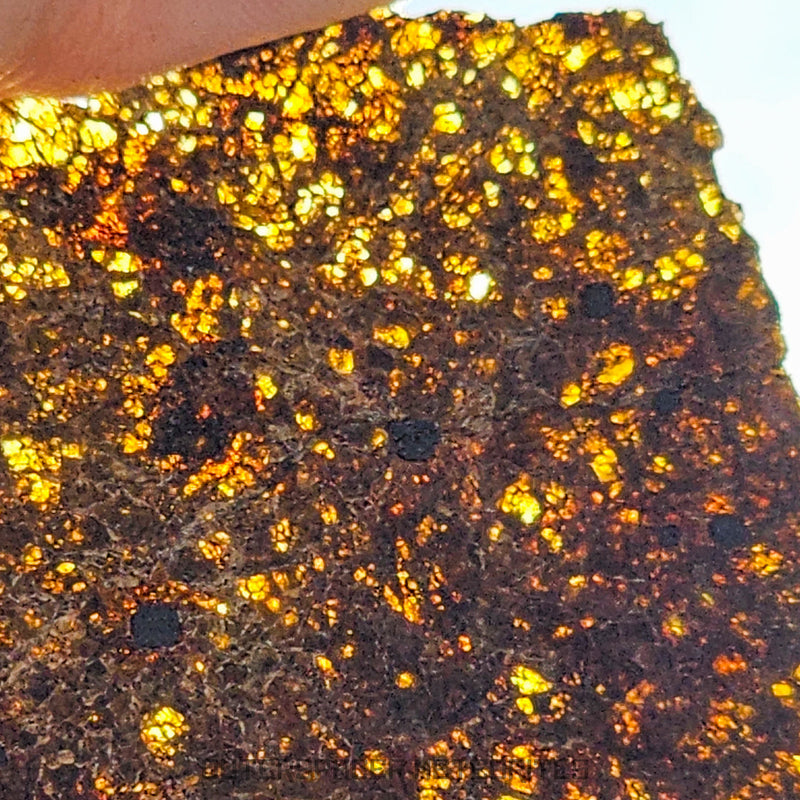 Diogenite - HED Achondrite