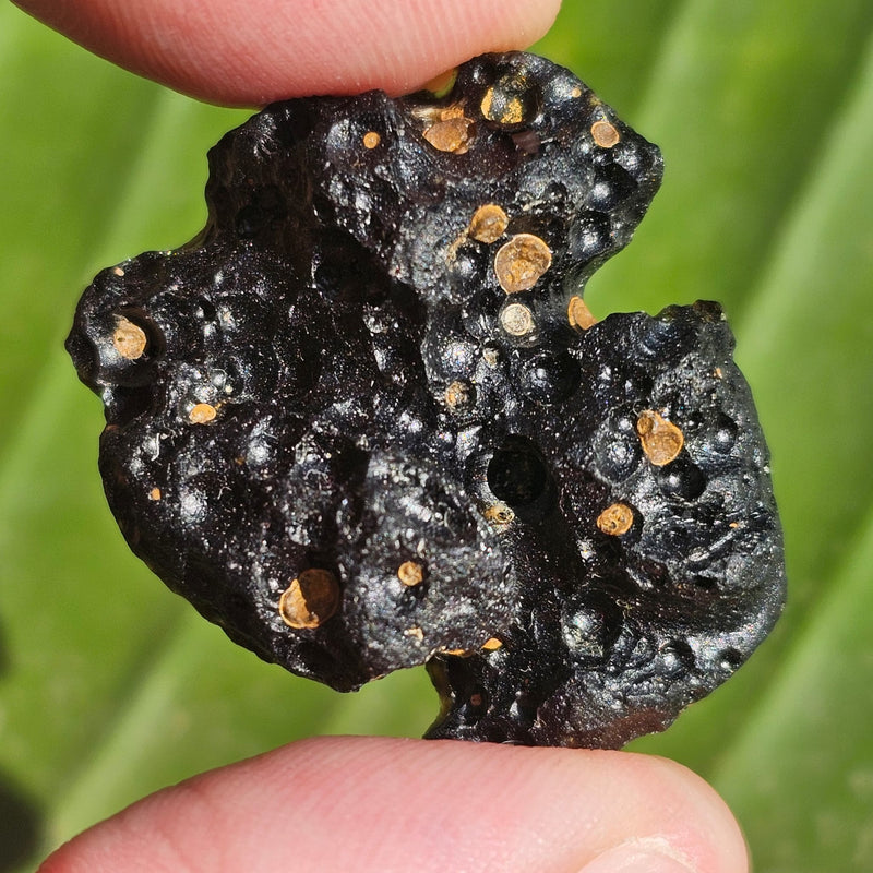 Philippinite - Tektite