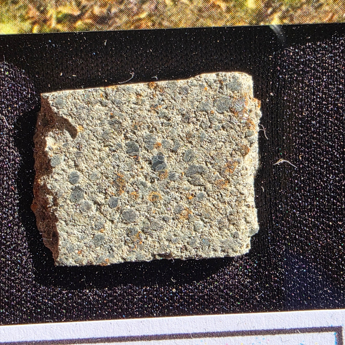 Barwell - L5 Chondrite - Slice - 3.51g - UK (Leicestershire)