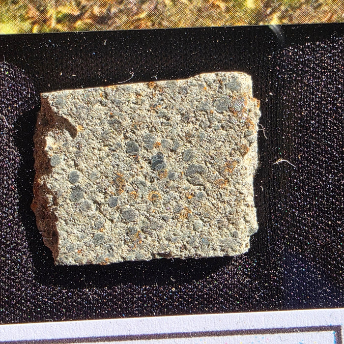 Barwell - L5 Chondrite - Slice - 3.51g - UK (Leicestershire)