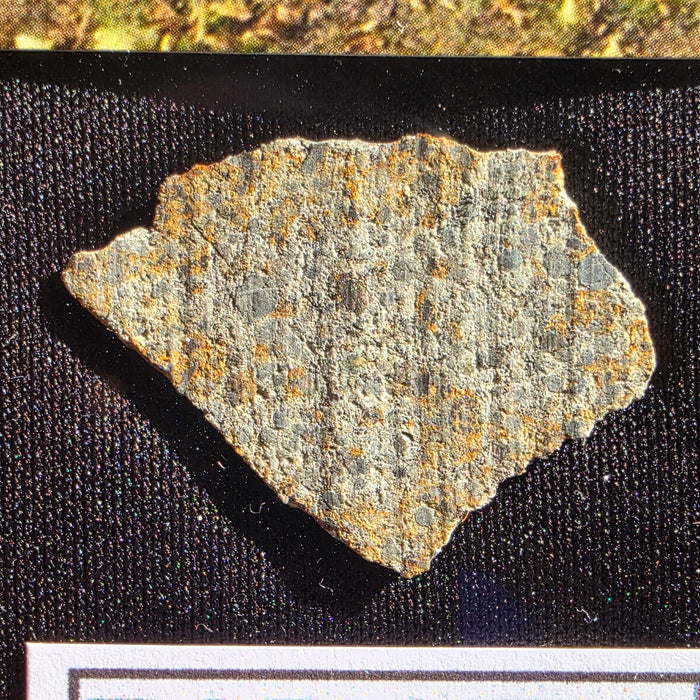 Barwell - L5 Chondrite - Slice - 2.48g - UK (Leicestershire)