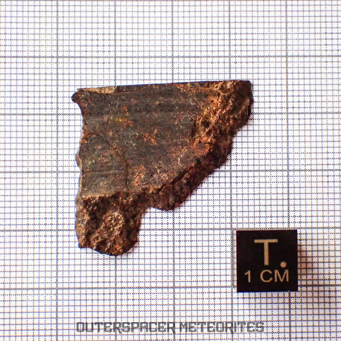 NWA 13948 - Acapulcoite - Partial Slice - 4.26g - Algeria