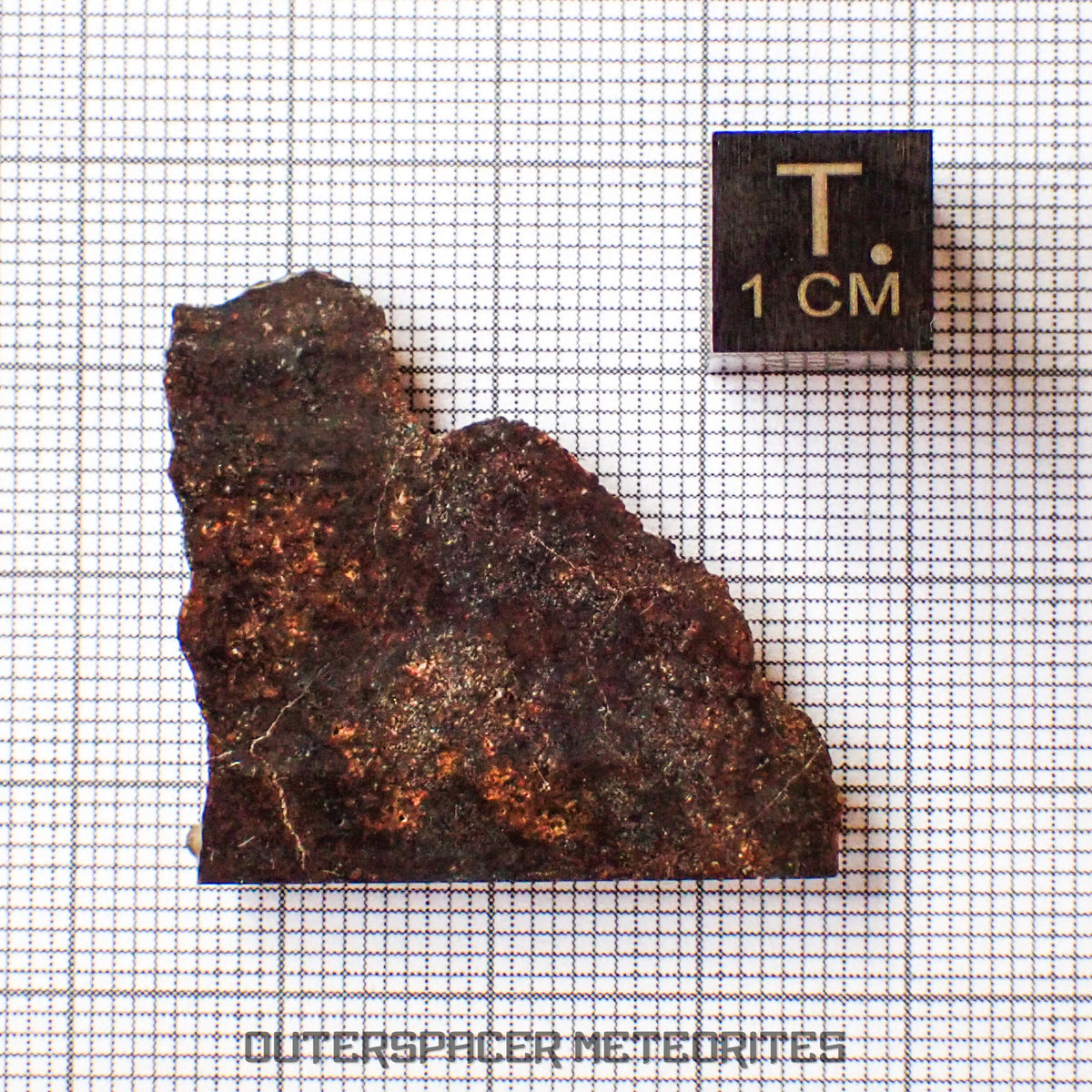 NWA 13948 - Acapulcoite - Tranche partielle - 4.26g - Algérie