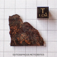 NWA 13948 - Acapulcoite - Tranche partielle - 4.26g - Algérie