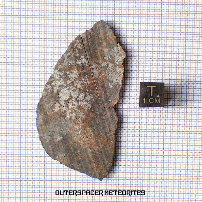 NWA 13948 - Acapulcoite - Complete Slice - 9.42g - Algeria