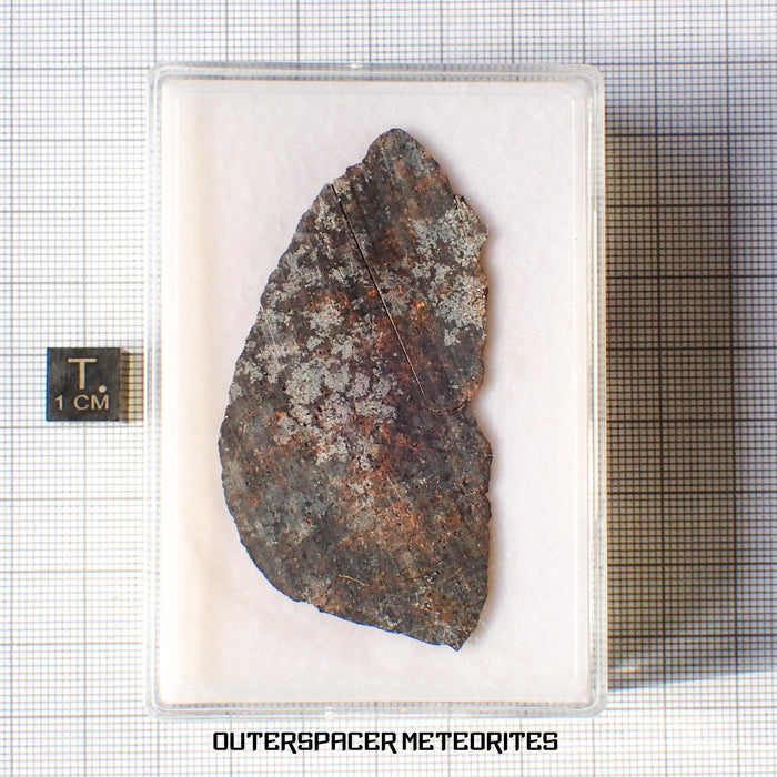 NWA 13948 - Acapulcoite - Complete Slice - 9.42g - Algeria