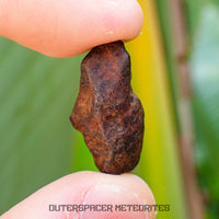 Agoudal (Imilchil) - Iron, IIAB - Complete Individual - 6.34g - Morocco (Atlas Mountains)