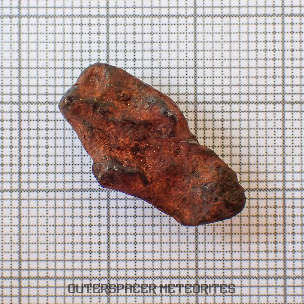 Agoudal (Imilchil) - Iron, IIAB - Complete Individual - 6.34g - Morocco (Atlas Mountains)