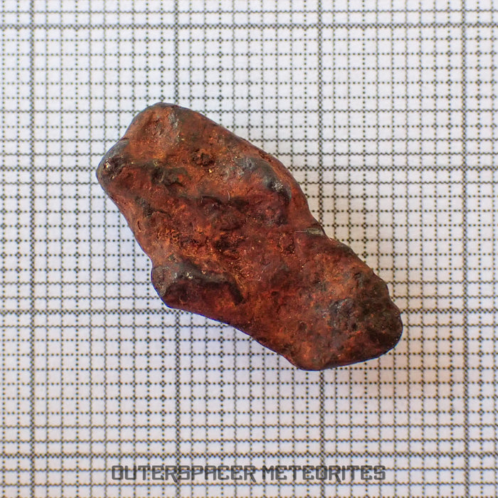 Agoudal (Imilchil) - Iron, IIAB - Complete Individual - 6.34g - Morocco (Atlas Mountains)