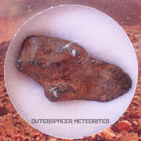 Agoudal (Imilchil) - Iron, IIAB - Complete Individual - 6.34g - Morocco (Atlas Mountains)